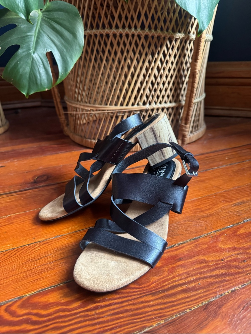 Women's Chaps Black Strappy Block Heel Sandals